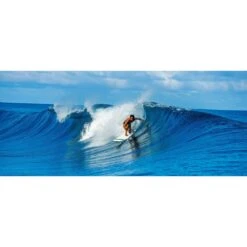 TAHE Surf 7'6'' Mini Longboard Surfboard 7 TAHE Surf 7'6'' Mini Longboard Surfboard -Brunotti Butik 7 6 fish